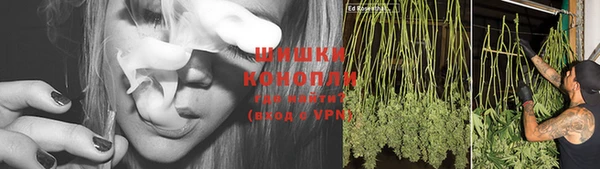 ешки Аркадак