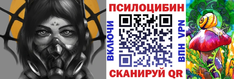 Псилоцибиновые грибы Cubensis  Купить где  Калязин 